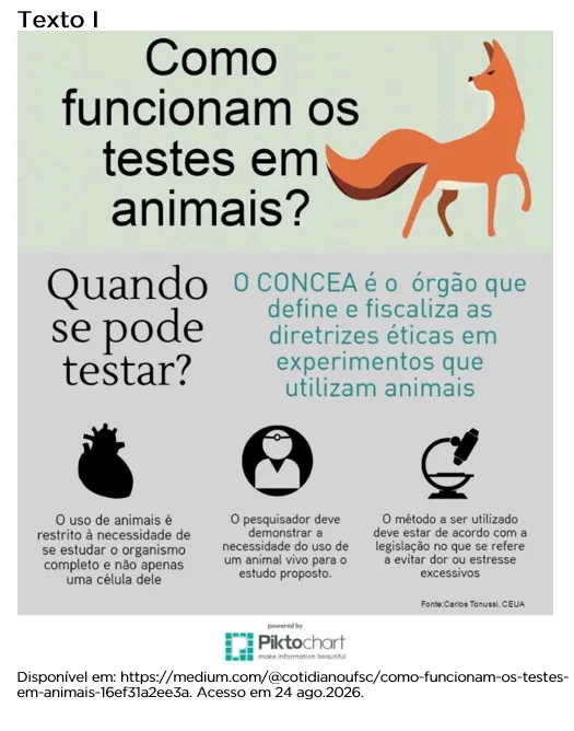 Imagem de apoio do tema: EFAF - PARÁGRAFO INTRODUTÓRIO - EXPERIMENTOS CIENTÍFICOS COM ANIMAIS