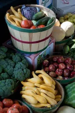 Tema de redação: [P41] EF ANOS FINAIS - DISSERTAÇÃO ARGUMENTATIVA - ALIMENTAÇÃO SAUDÁVEL